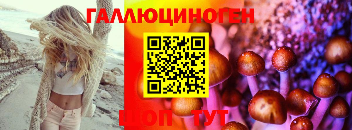 Галлюциногенные грибы Psilocybine cubensis  Вход с VPN  Сызрань 